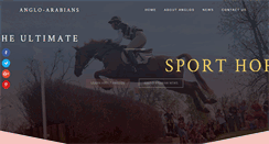 Desktop Screenshot of anglo-arabians.com